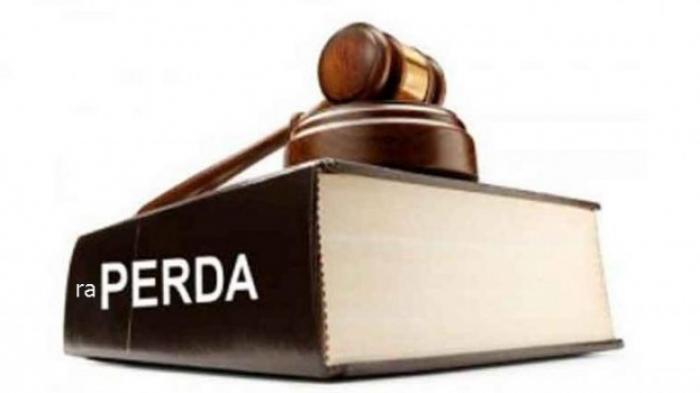 naskah raperda